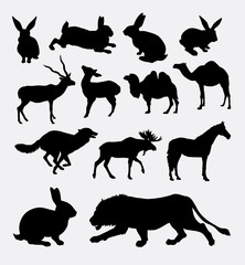 Fototapeta premium Wild animal silhouette