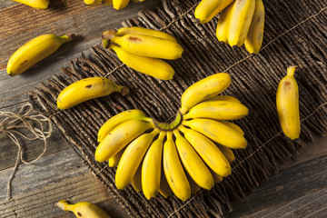 Raw Organic Yellow Baby Bananas © Brent Hofacker