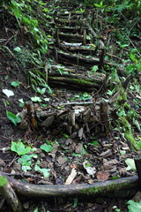 森の中の朽ちかけた階段