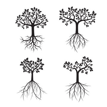 Set black Trees and Roots. Vector Illustration.
