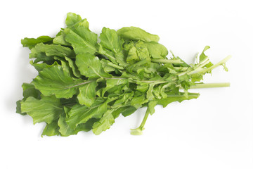 Arugula Leaves. Rucula