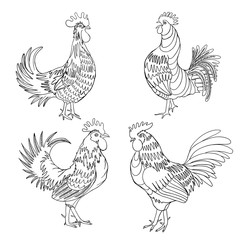 Set of roosters in different directions and poses. Hand drawn cocks. Collection of detailed quality farm birds. Bundle of zodiac symbols for Chinese New year 2017.  