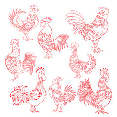 Set of roosters in different directions and poses. Hand drawn cocks. Collection of detailed quality farm birds. Bundle of zodiac symbols for Chinese New year 2017.  