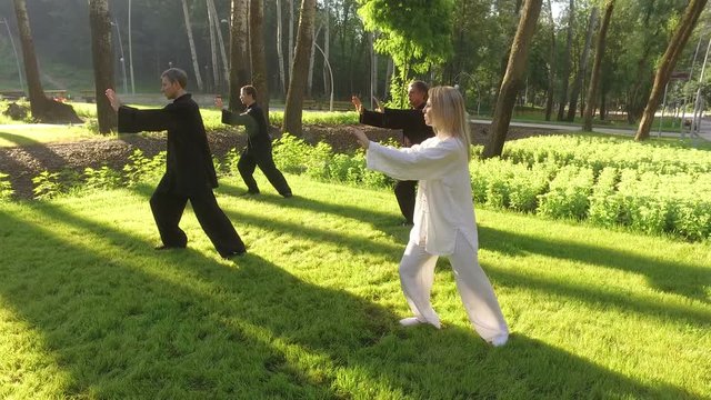 Training in the park. Workout. Group of four people practicing the elements of qigong. 4K