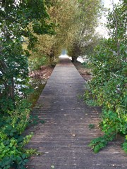 Obraz premium zły kierunek