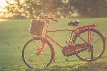 Obraz premium Lovely brown teddy bear in rattan basket on vintage bike in gree
