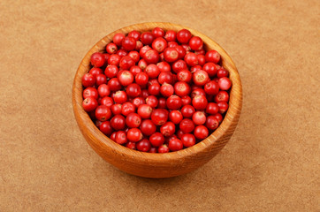 Lingonberry (Vaccinium vitis-idaea)