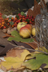 still life autumn fruits and leaves