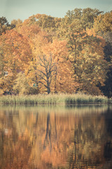 Obraz premium Vintage photo, Trees with orange leaves and pond in autumn park
