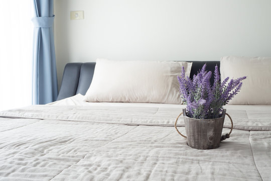 Fototapeta The bed with purple lavender flower on flower pot.