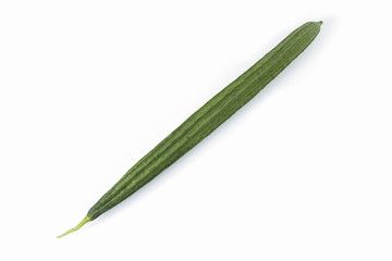 Fresh Angled luffa fruit on white background