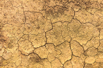 dry soil texture background