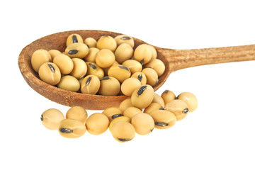 Soy beans in wooden spoon on white background