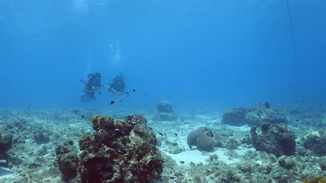 Unterwasser - Riff - Taucher - Tauchsport - Tauchen - Curacao - Karibik