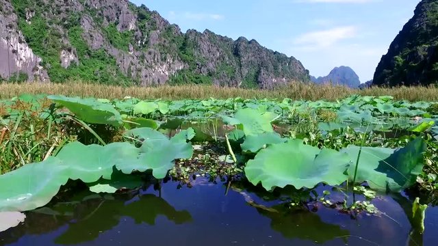 Van Long nature reserve in Ninh Binh, Vietnam 