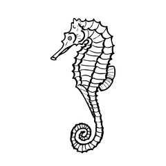 Vector illustration of seahorse silhouette. Hand drawn seahorse