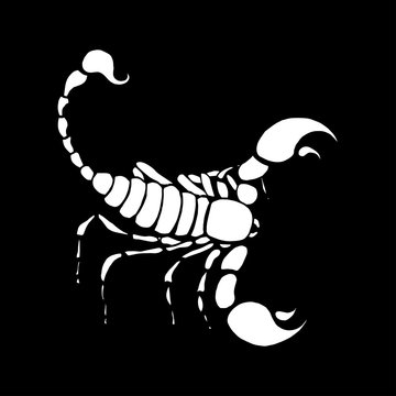 Scorpio zodiac sign in horoscope. Vector hand drawing scorpio