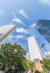 新宿高層ビル群