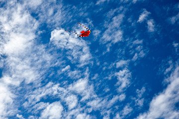 파란하늘을 배경으로 떠 있는 호랑이 연
가을이라 하늘이 맑고 구름이 있다