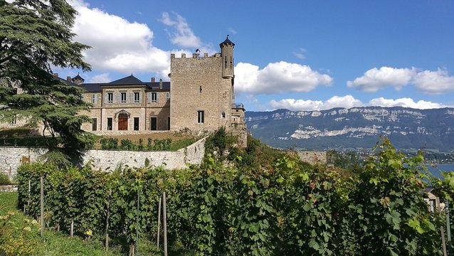 Bourdeau 이미지 찾아보기 68 스톡 사진, 벡터 및 비디오 Adobe Stock