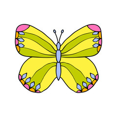 Colored drawn butterfly isolated