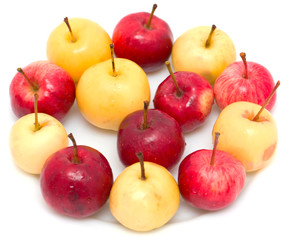 red and yellow apples on a white background