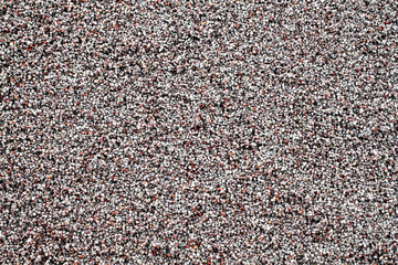 A close up image of opium poppy seeds