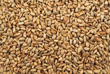 A close up image of black and white sunflower seeds