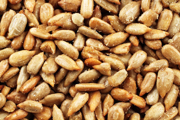An extreme macro image of dried and salted sunflower kernels