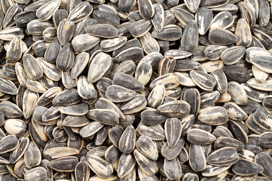 A close up image of black and white sunflower seeds