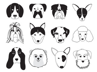 Dogs Breed Collection