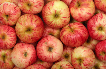 Ripe red apples