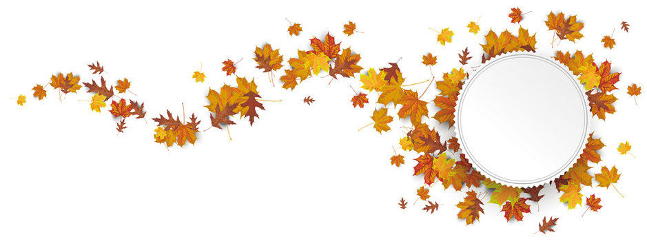 Paper Prongs Emblem Autumn Foliage Wave Header