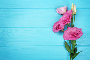 Fototapeta na wymiar Fresh flowers on turquoise wooden background