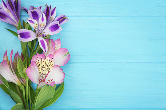 Fototapeta Fresh flowers on turquoise  wooden background
