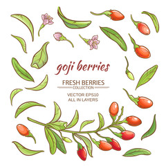 goji berry vector set