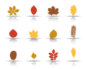 Herbstblätter - Herbstfarben (Schatten)