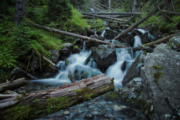 Forest Stream with Long Exposure Water