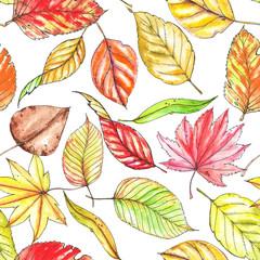 Seamless hand drawn repeated autumn pattern. Colorful stylish different leaves. Watercolor and ink drawing
