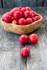 Red garden plum, cherry plum
