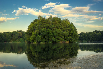 Waldinsel im Vogelsberger See