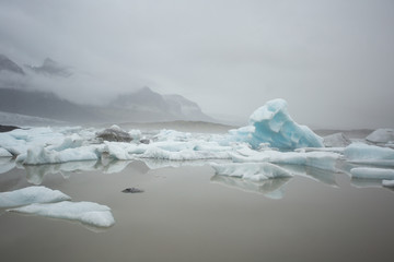 The ice floating in the ocean. Iceland, Fjallsarlon glacier lagoon.