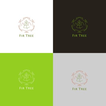 Forest logo or icon with fir tree in thin style