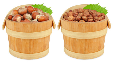 hazelnuts in a bucket isolated on white