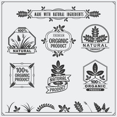 Collection of Organic food labels and design elements.