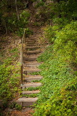 Fototapeta premium Wanderweg mit Treppe