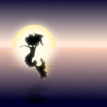 Meermin en zonsondergang