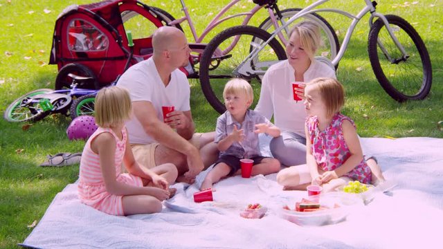 Young family having a picnic in the park