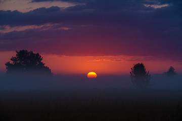 The foggy field on the background of sunset