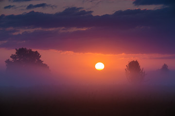 The foggy field on the background of sunset